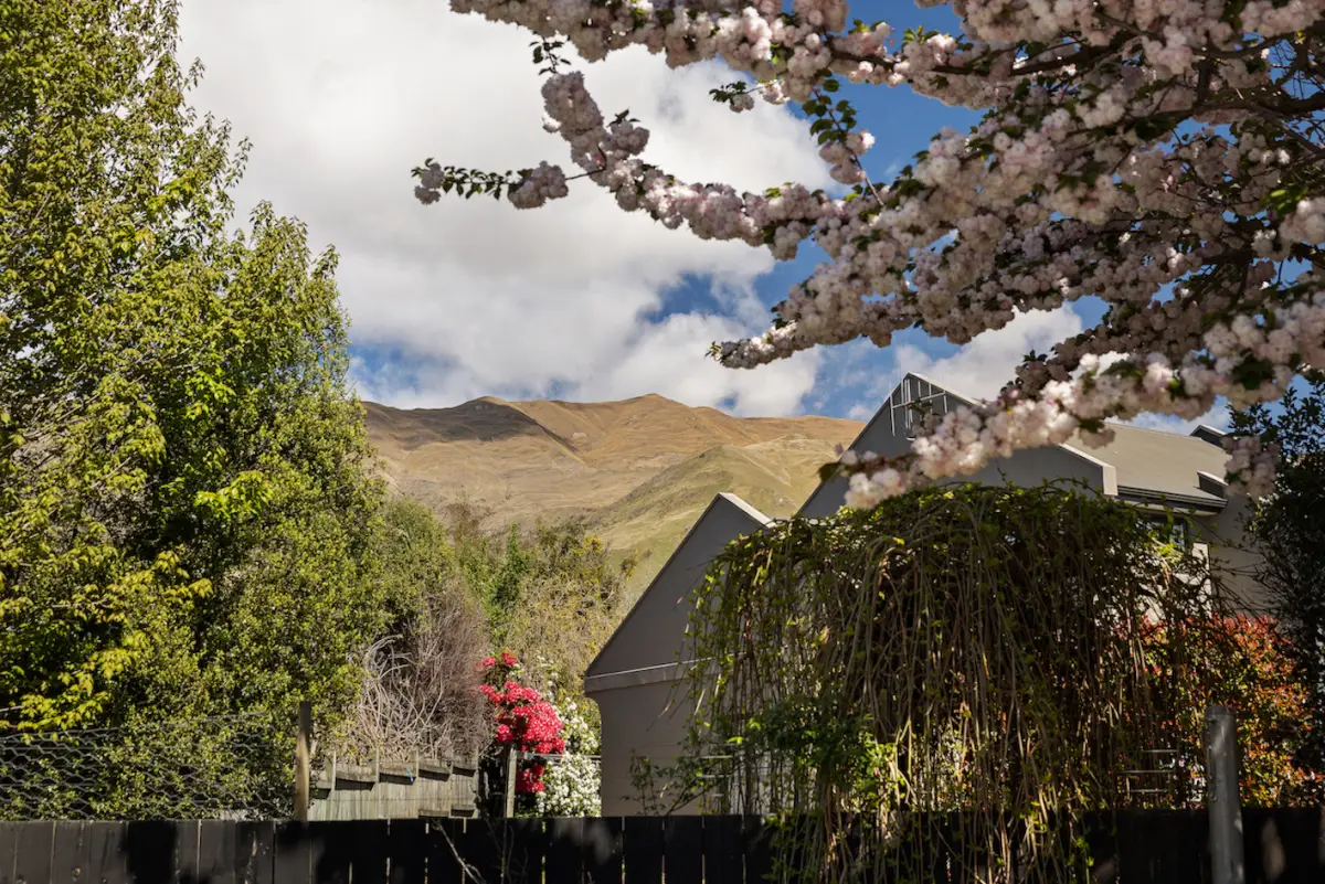 Stunning Views to Mountains in Wānaka 